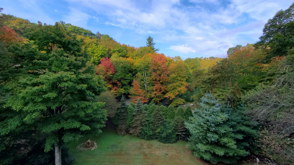 A sweeping view of vibrant autumn foliage and lush greenery, with an expansive sky above. The scene is peaceful and inviting, evoking the beauty of the Blue Ridge Parkway and the surrounding High Country landscapes. The foliage displays a rich array of colors, hinting at seasonal hikes and outdoor exploration.