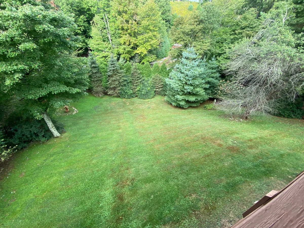 A serene green lawn bordered by various trees, with the wooden edge of the deck in the foreground. The tranquil setting invites outdoor relaxation, picnics, and nature walks, embodying the open, pet-friendly spaces mentioned in the section.