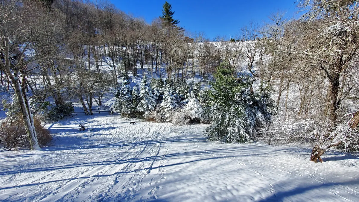 This image shows a peaceful winter landscape with snow-covered trees, a clear blue sky, and footprints leading through the snow. The untouched snow and footprints evoke the excitement of outdoor winter activities and the proximity to the Appalachian Ski Mountain slopes.